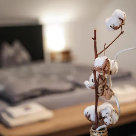 酒店 维拉贝拉吉欧酒店