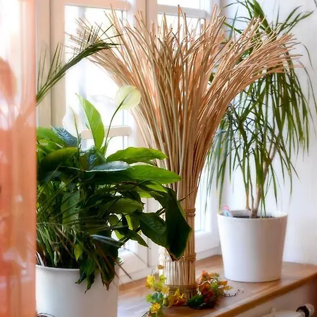 Belaggio Szálloda 3*