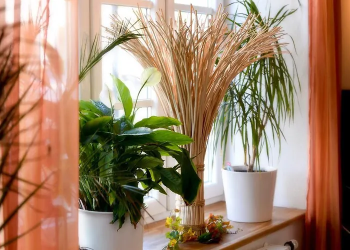 维拉贝拉吉欧酒店 酒店 3*